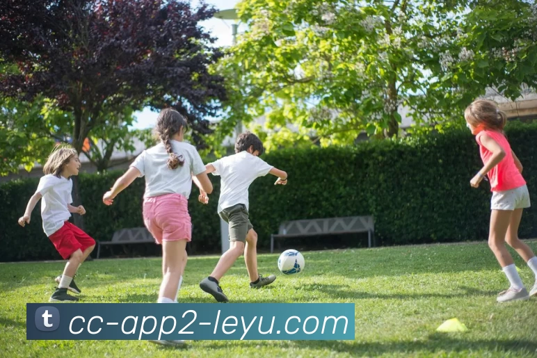 乐鱼app服务体系
